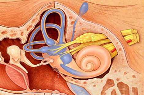 Αιφνίδια-κώφωση-γιατί-επιβάλλεται-η-άμεση-αντιμετώπιση---otika---ακουστικά-βαρηκοϊας-ζωγράφου